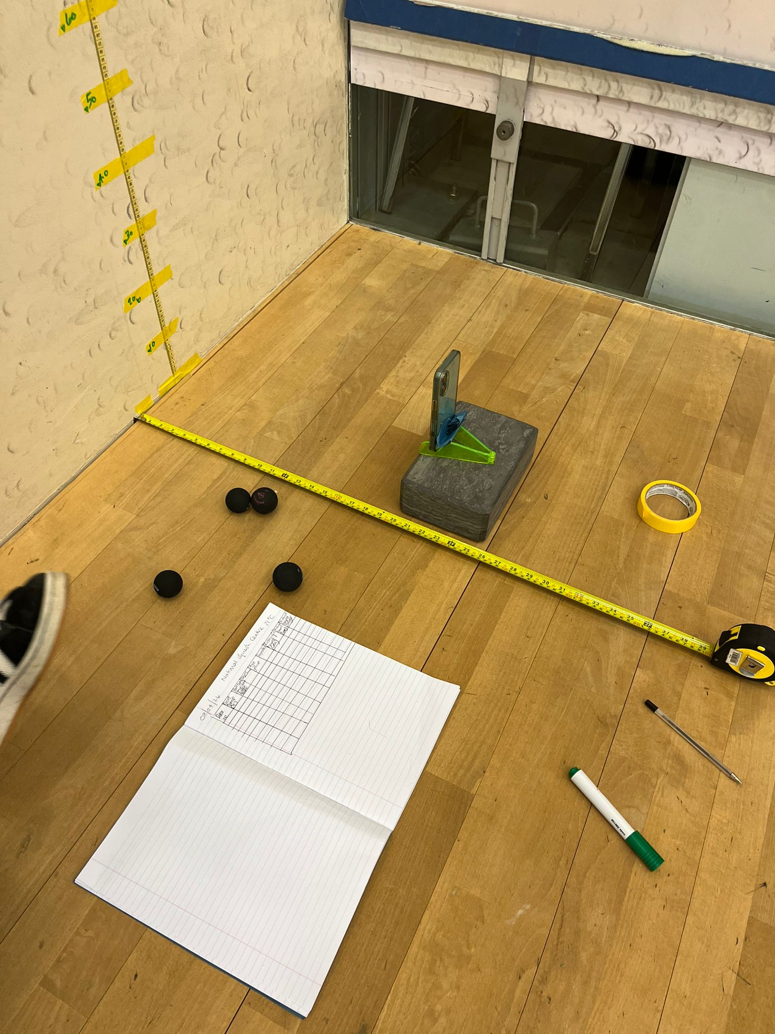 The Great Squash Ball Rebound Experiment